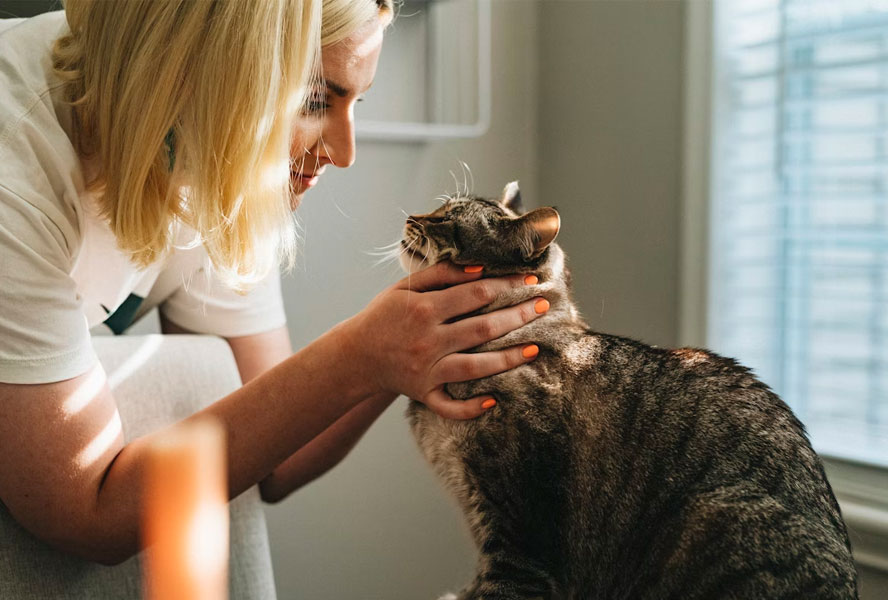 Wellness
