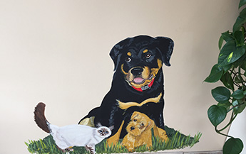 Dog and Cat Mural