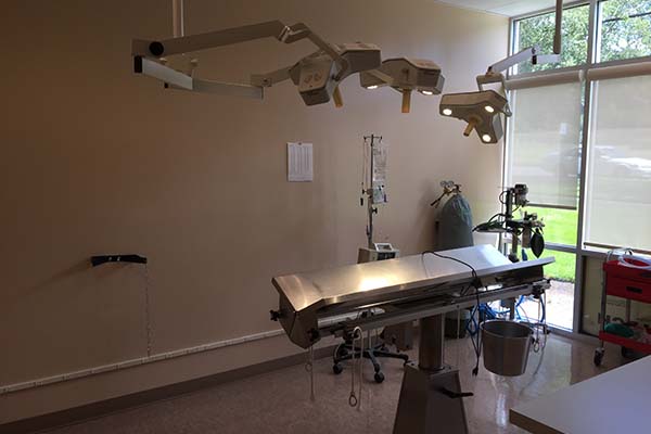 Operating Table - Lights On